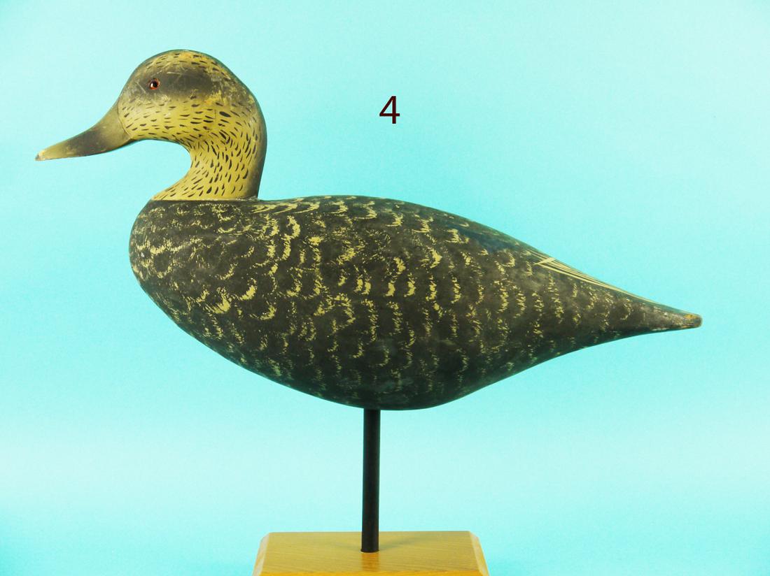 STANDING BLACK DUCK, WILDFOWLER (1 of 4)