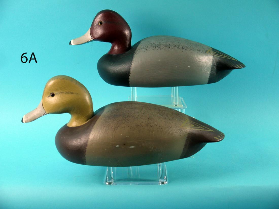 REDHEAD PAIR, C. BIRDSALL (1 of 4)