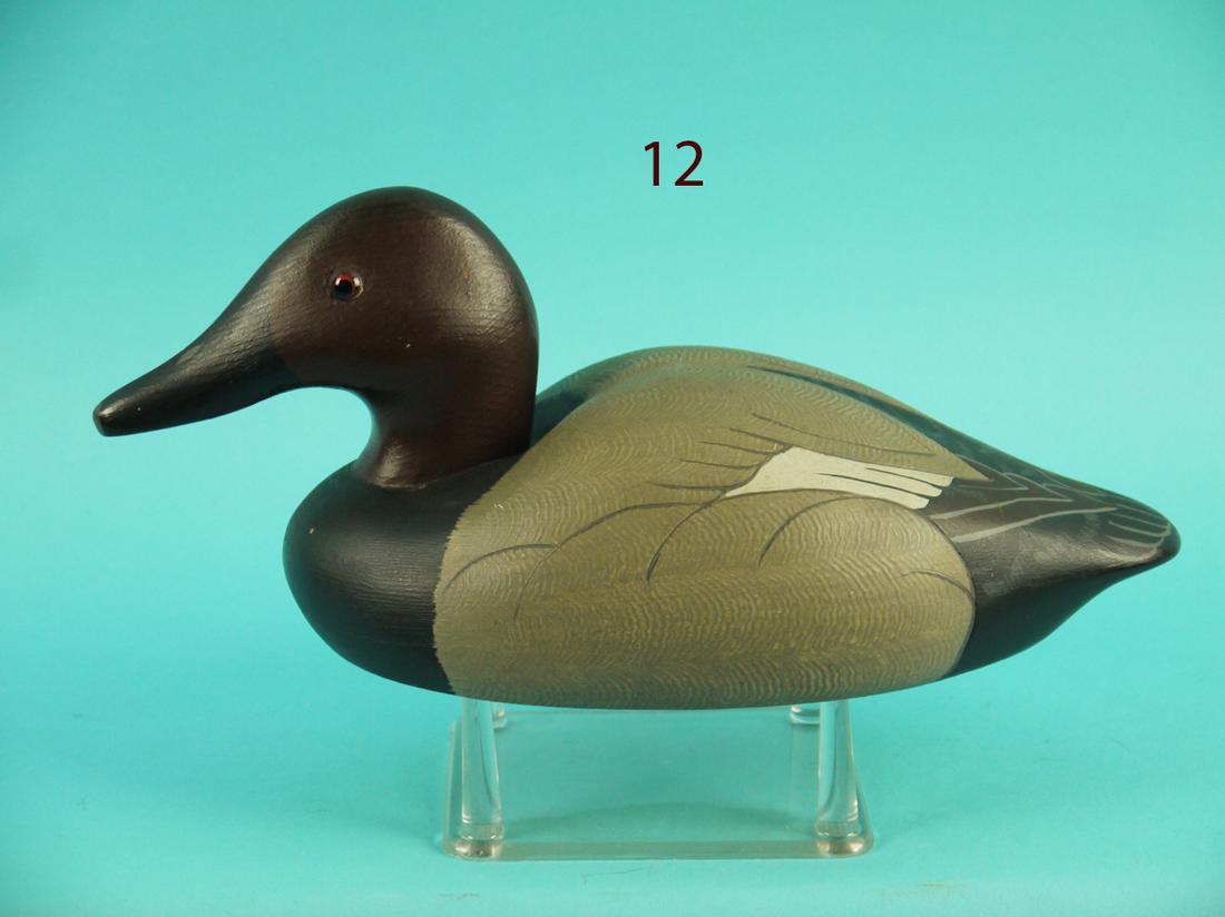 ONE-THIRD SIZE CANVASBACK DRAKE, WILDFOWLER (1 of 4)