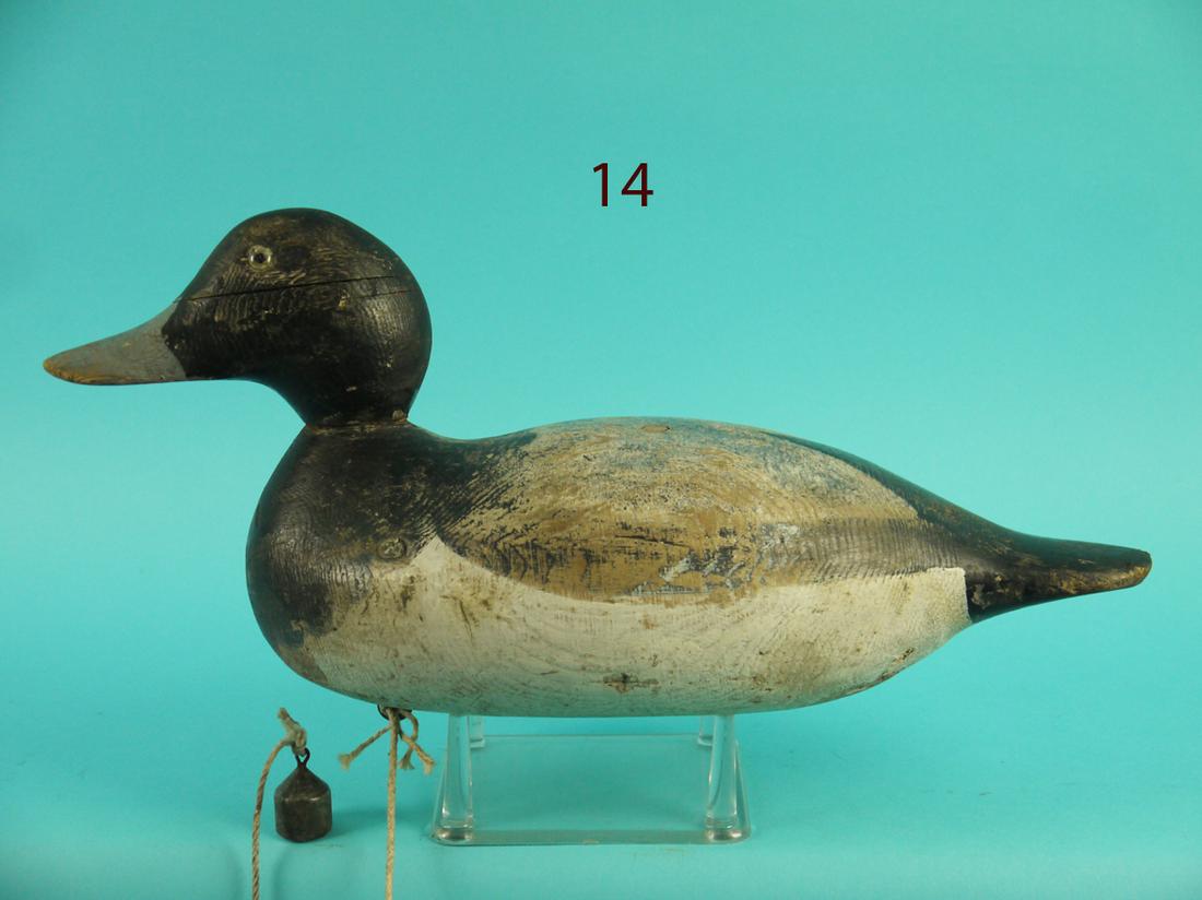 BLUEBILL DRAKE, MASON (1 of 4)