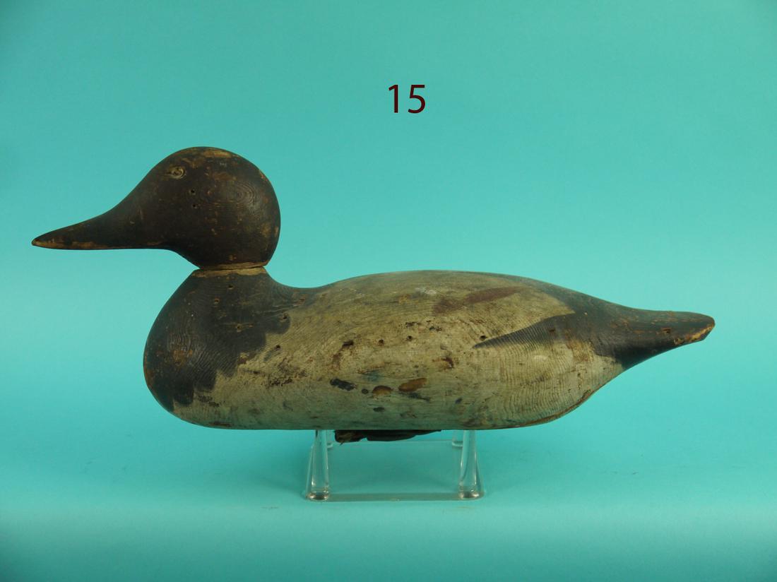 CANVASBACK DRAKE, MASON (1 of 4)