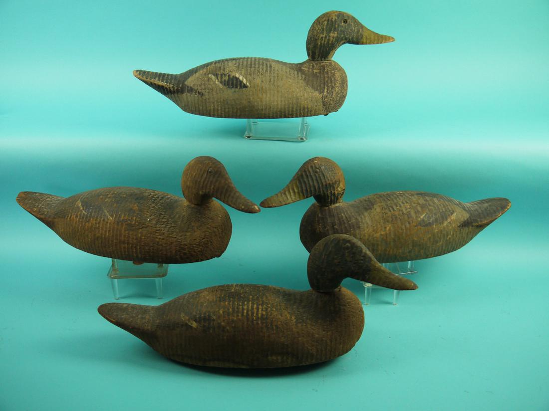 FOUR MALLARDS, ANIMAL TRAP (1 of 1)