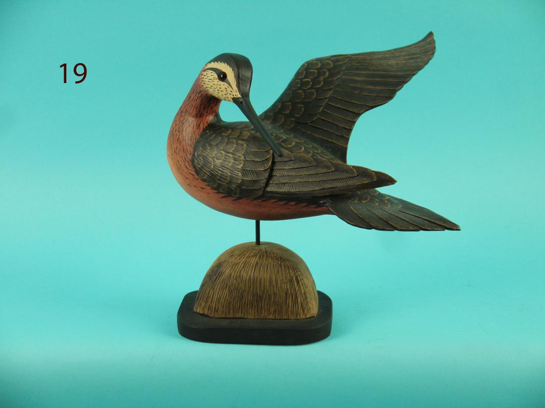 PREENING DOWITCHER, L. REINERI (1 of 2)