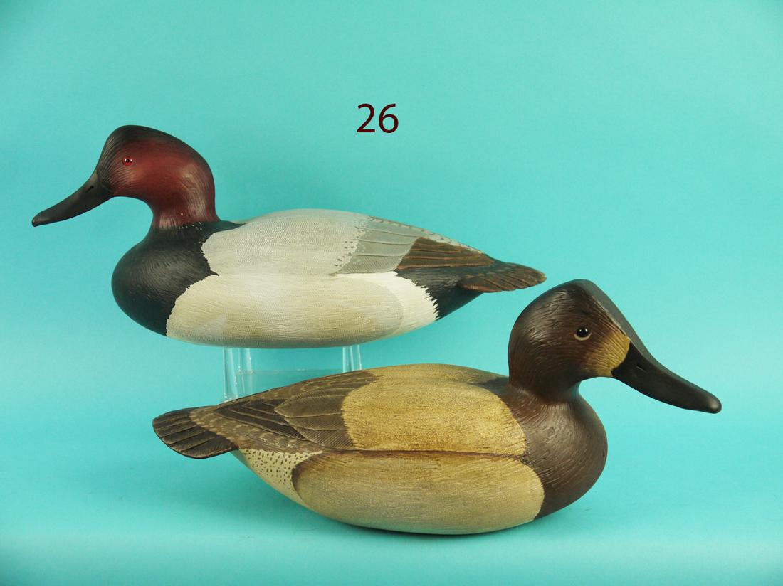 CANVASBACK PAIR, L. REINERI (1 of 4)