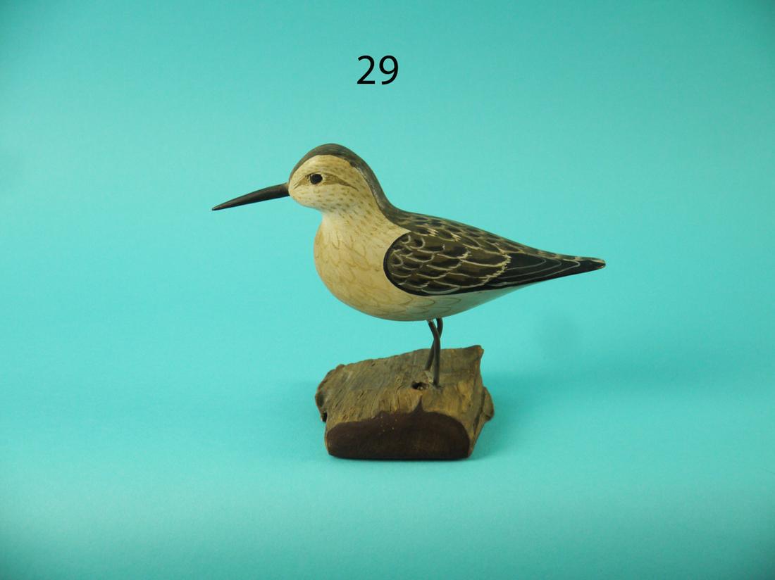 SANDPIPER,  H.V. SHOURDS (1 of 4)