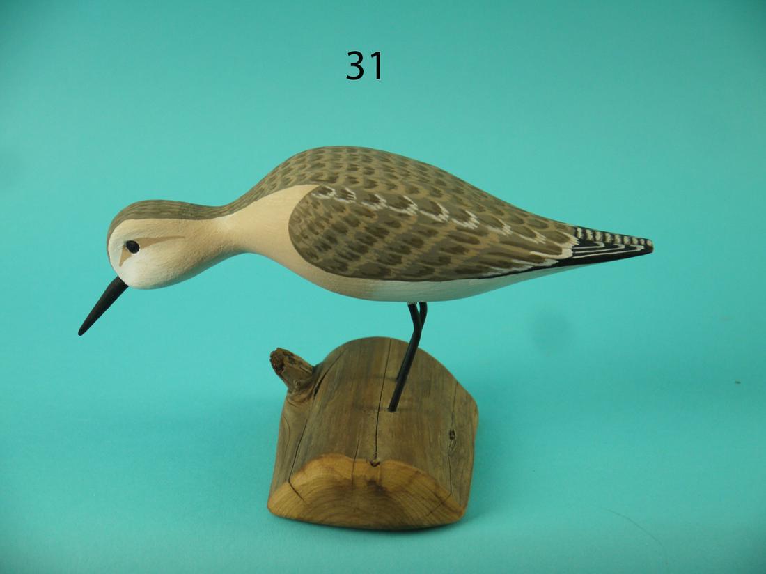 SANDPIPER, H.V. SHOURDS (1 of 4)