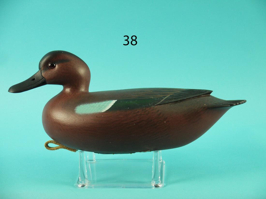 CINNAMON TEAL DRAKE, F.C. BROWN, JR. (1 of 4)
