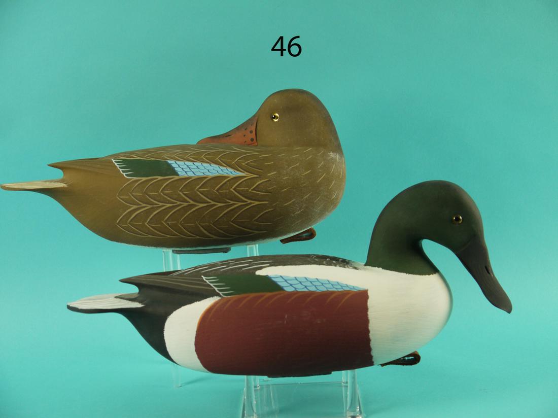 SHOVELLER PAIR, W. OLER (1 of 4)