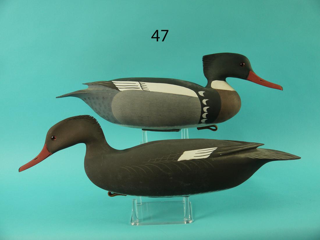 RED BREAST MERGANSER PAIR, W. OLER (1 of 4)