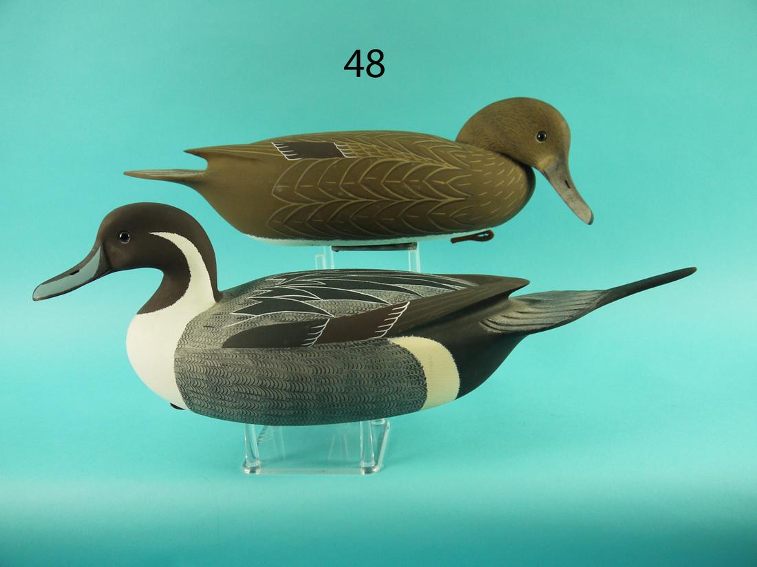 PINTAIL PAIR, W. OLER (1 of 4)