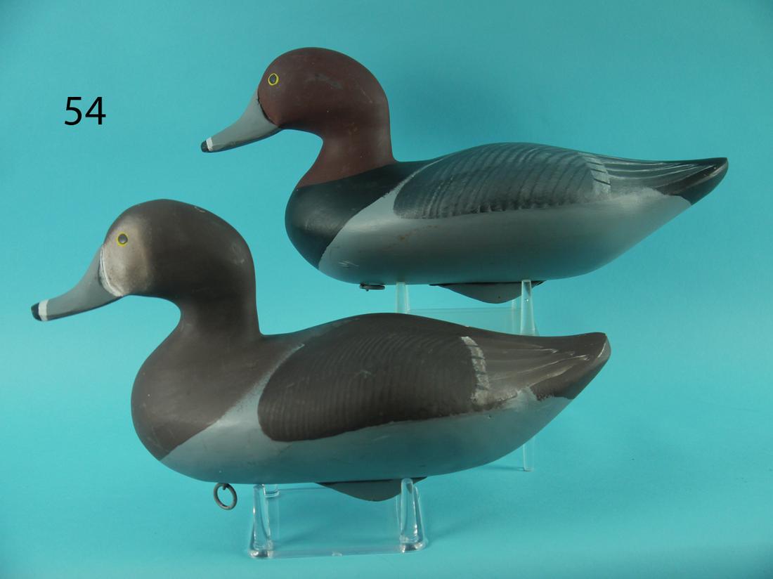 RED HEAD PAIR, C. WHEELER (1 of 4)