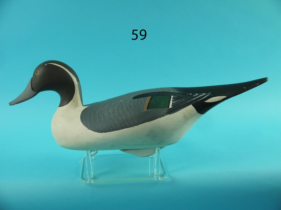 PINTAIL DRAKE, G. WAGONER (1 of 4)