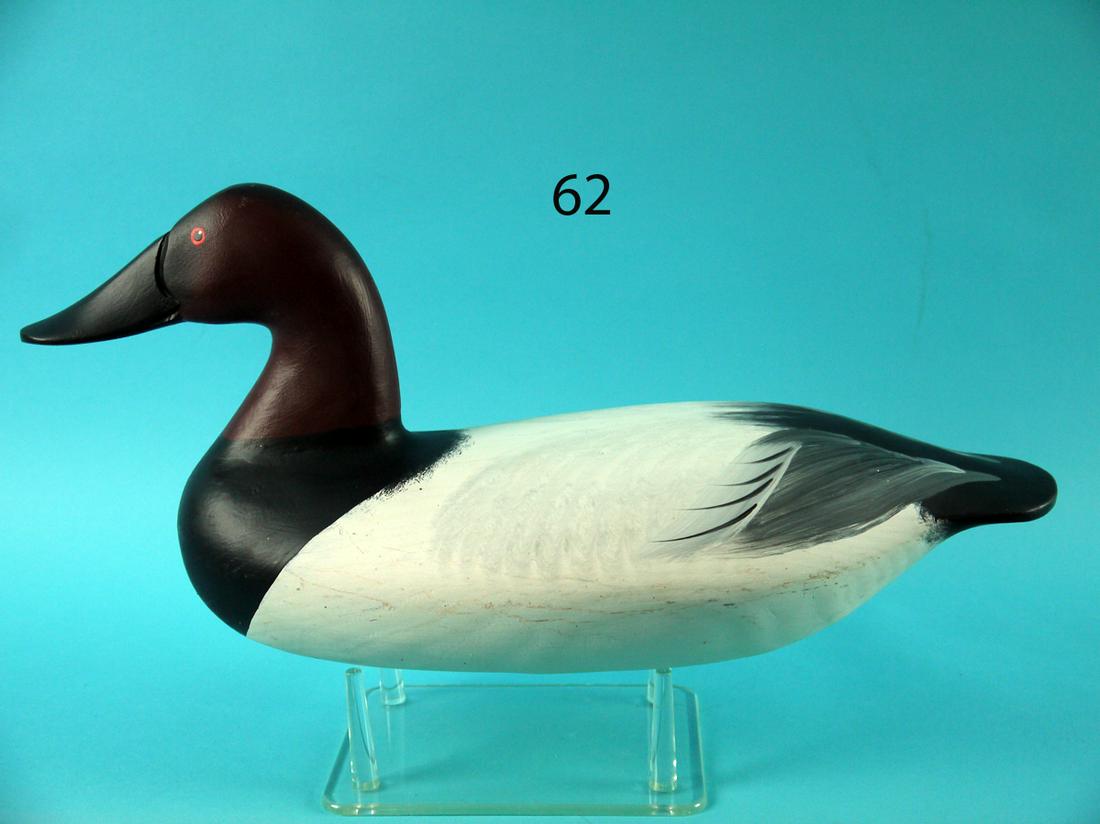 CANVASBACK DRAKE, A. BOXLEITNER (1 of 4)