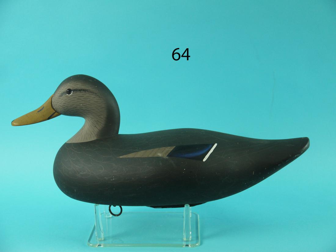 BLACK DUCK, G. WAGONER: BLACK DUCK by Gilbert Wagoner, Havre de Grace, MD. Very good original paint and condition. Scratch feather paint overall. Fine paint ticking to head. Retains dog bone weight, rigging ring and staple. 