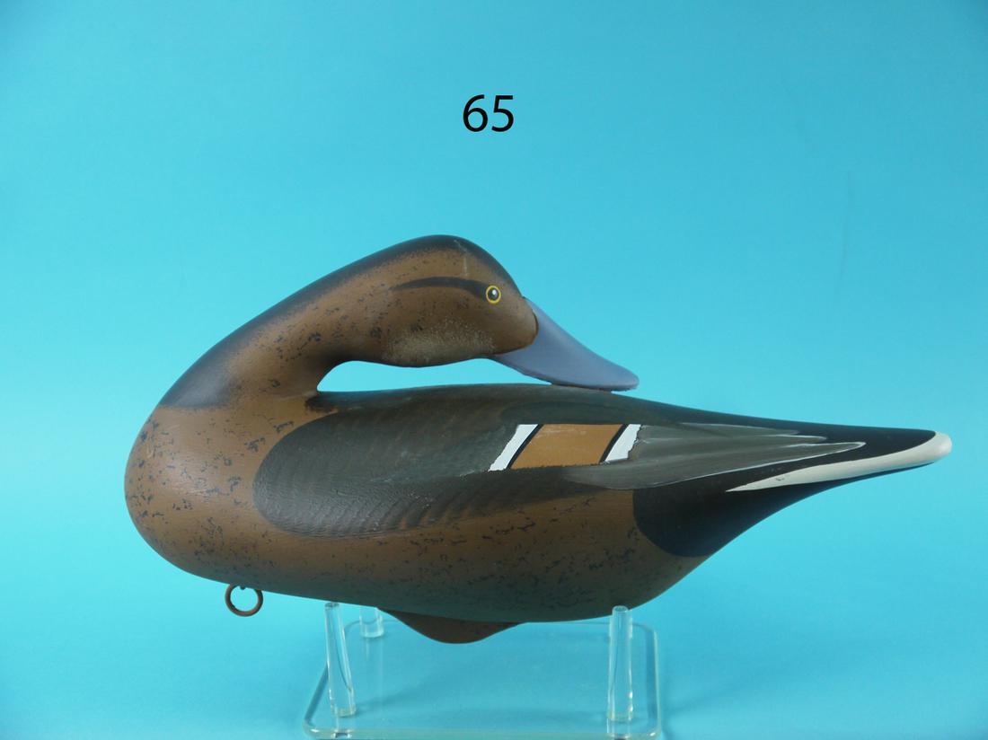 PINTAIL HEN, D. WALKER (1 of 4)