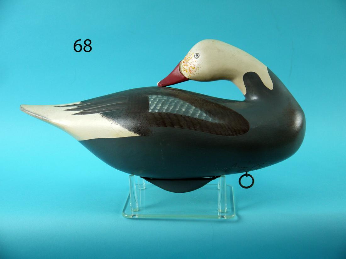 SNOW GOOSE, J. PIERCE (1 of 4)