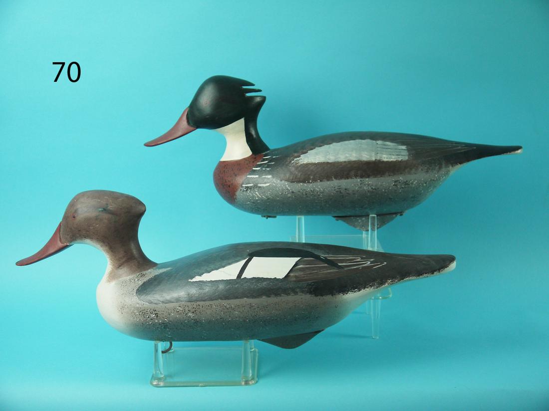 RED BREAST MERGANSER PAIR, J. PIERCE (1 of 4)
