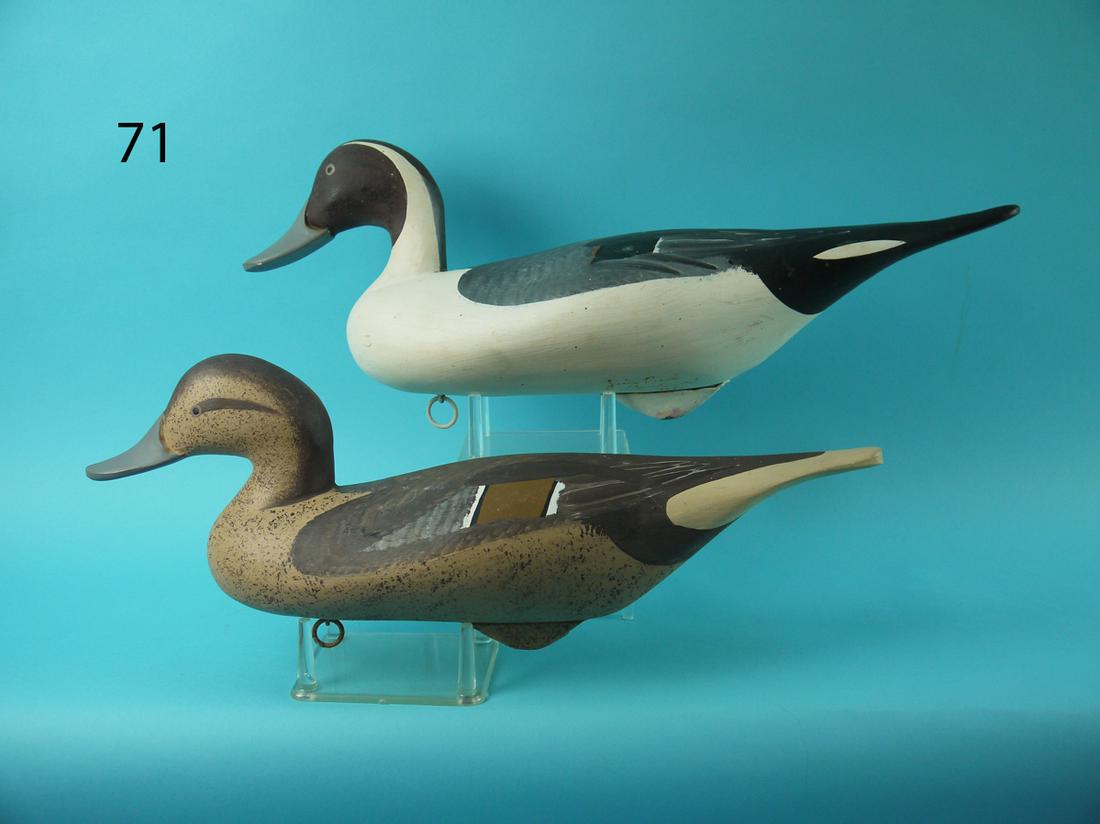 PINTAIL PAIR, J. PIERCE (1 of 4)