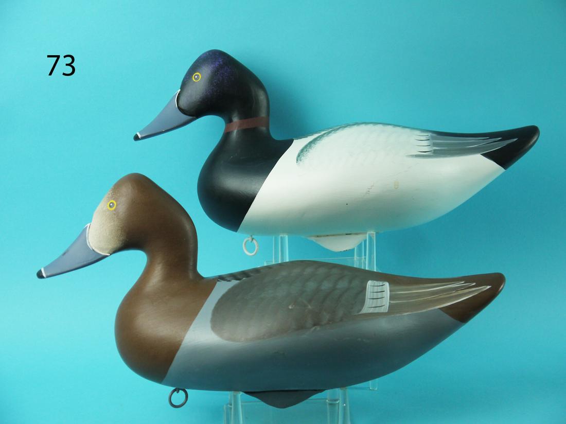 RING NECK PAIR, D. WALKER (1 of 4)