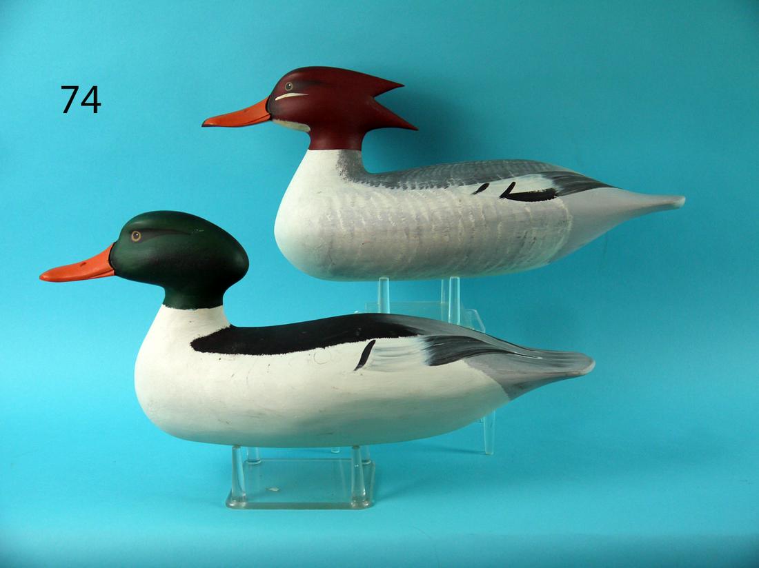 AMERICAN MERGANSER PAIR, A. BOXLEITNER (1 of 4)
