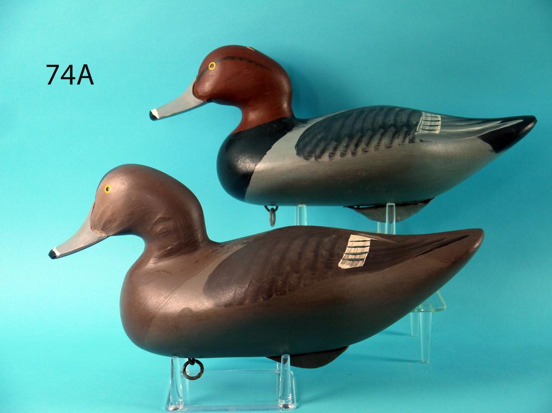 RED HEAD PAIR, H. JOBES (1 of 4)