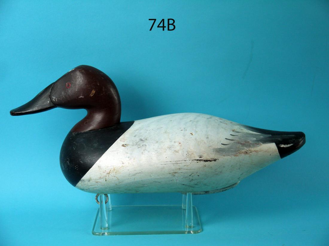 CANVASBACK DRAKE, C. BRYAN (1 of 4)
