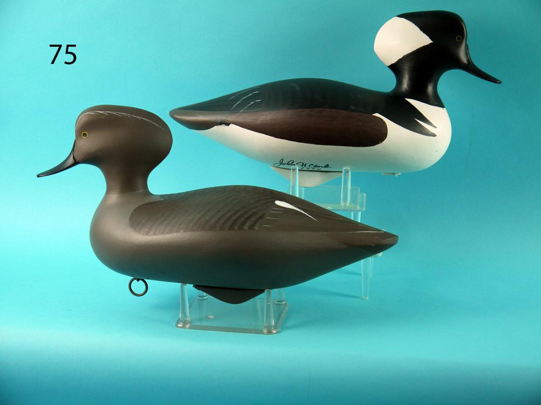HOODED MERGANSER PAIR, J. CLARK (1 of 4)