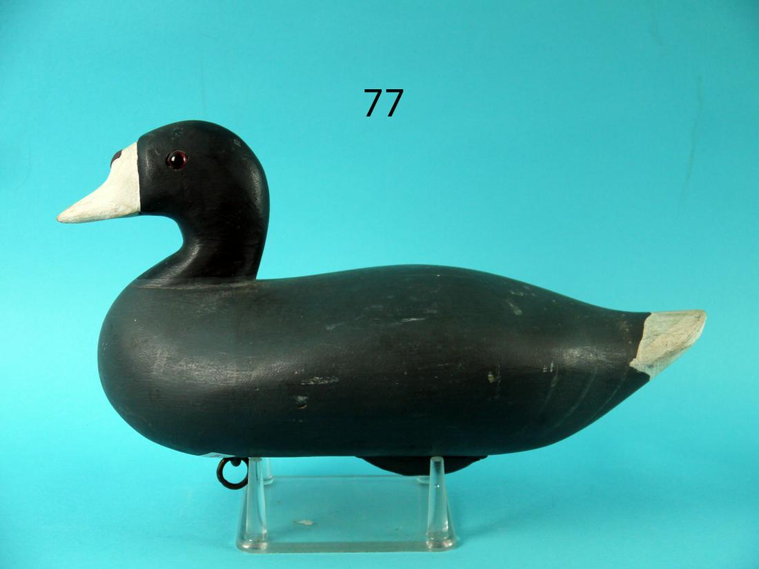 COOT, J.E. MCKINNEY (1 of 4)