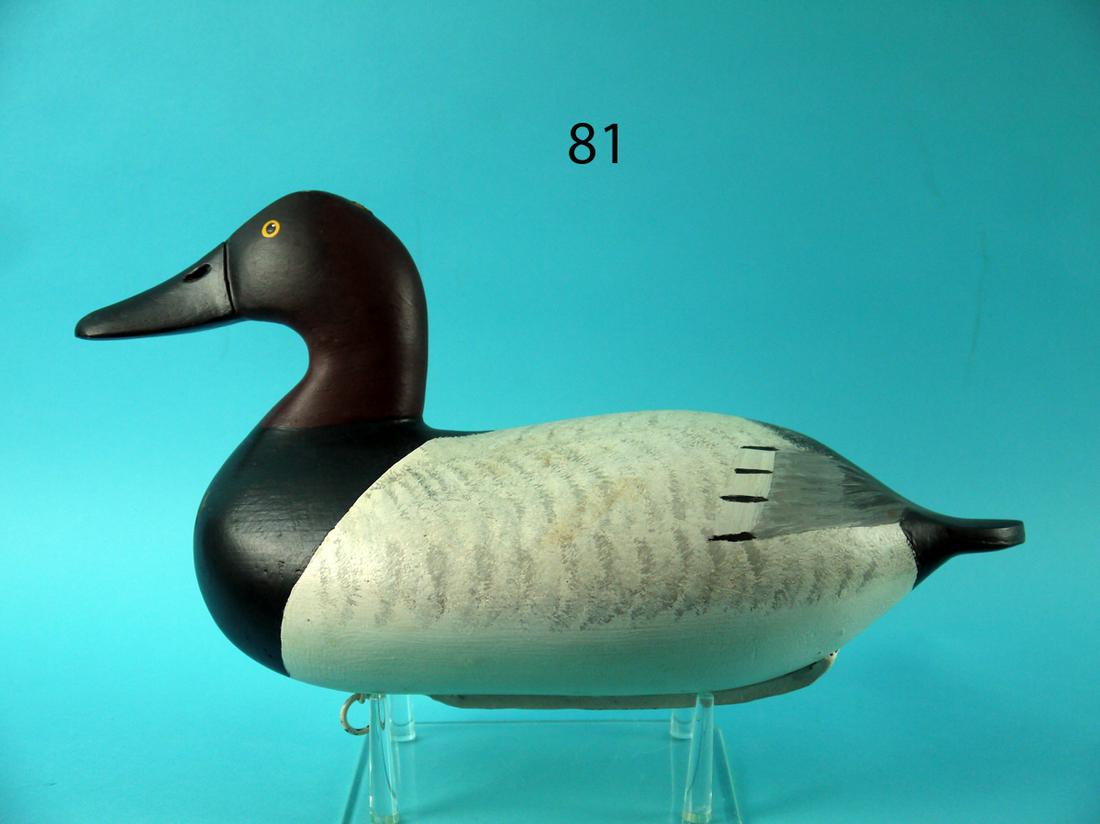 CANVASBACK DRAKE, A. PURNER: FINE CANVASBACK DRAKE by Allen Purner, Elkton, MD. Very good original paint and unused condition. Fine painted bar feather work to back. Retains dog bone weight with maker's name incised in weight. Fo