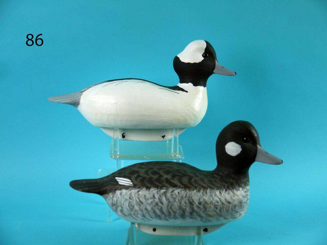 BUFFLEHEAD PAIR, HERB DAISEY, JR. (1 of 4)