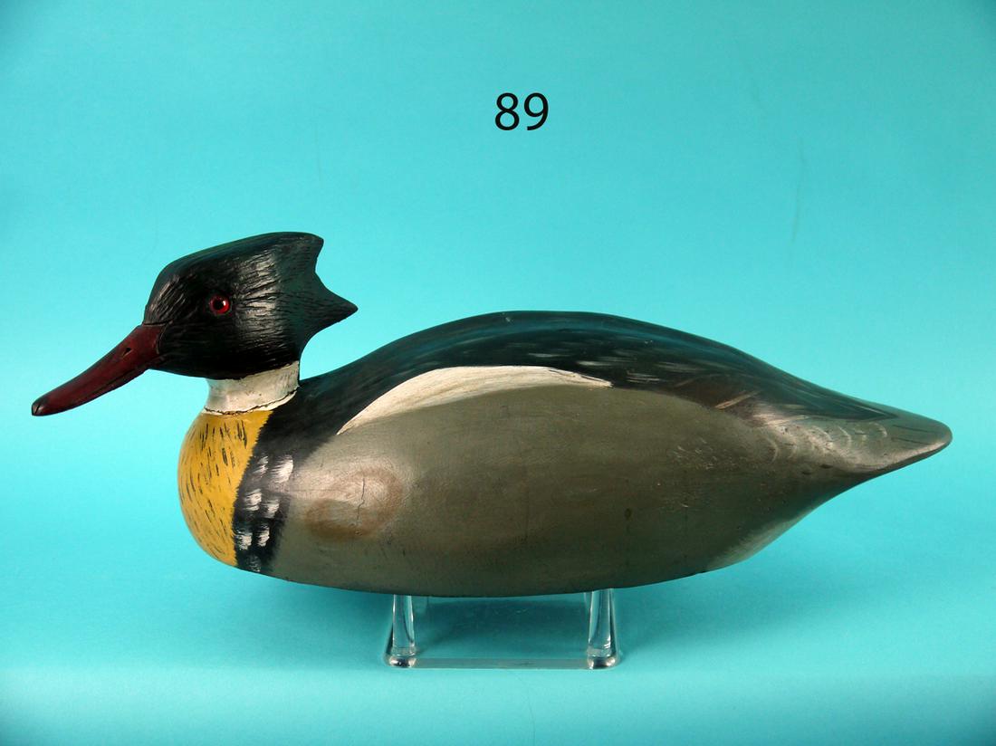 RED BREAST MERGANSER DRAKE (1 of 4)