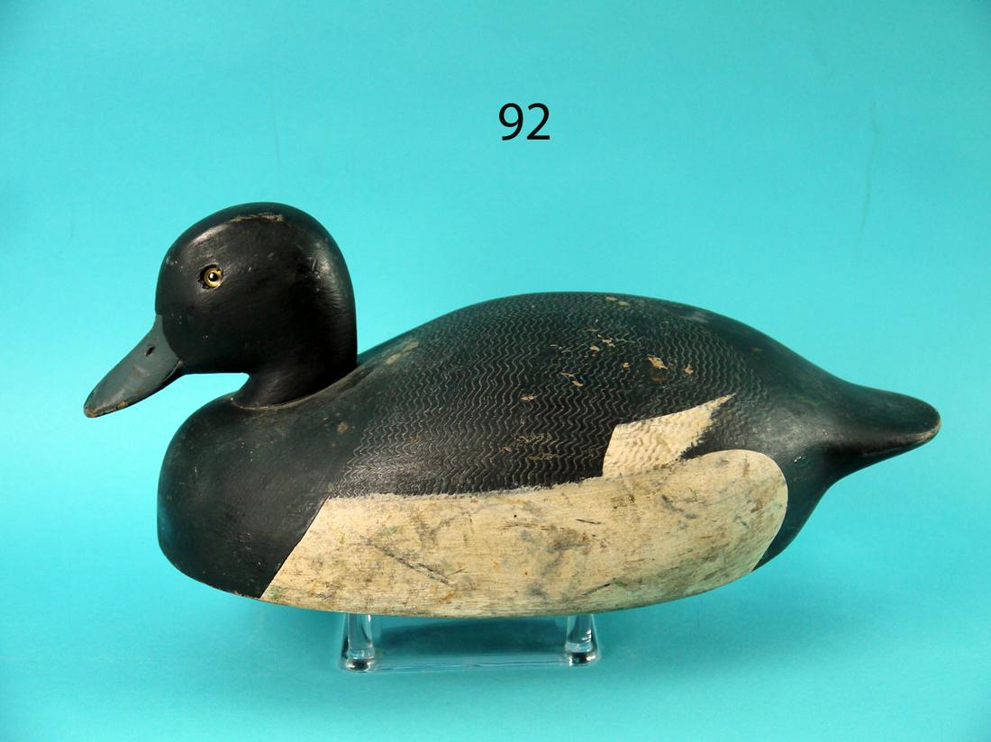 BLUEBILL DRAKE, K. HARRIS (1 of 4)