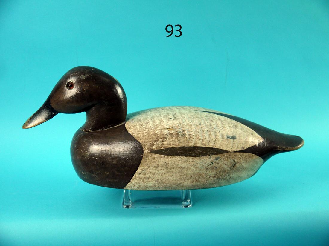 CANVASBACK HEN, K. HARRIS (1 of 4)