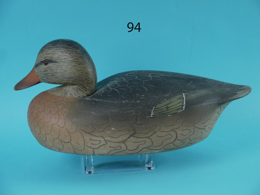 MALLARD HEN, K. HARRIS (1 of 4)
