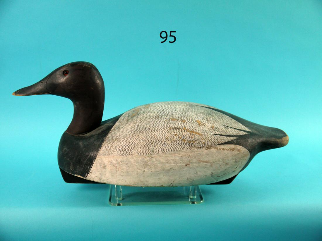 CANVASBACK DRAKE, K. HARRIS (1 of 4)