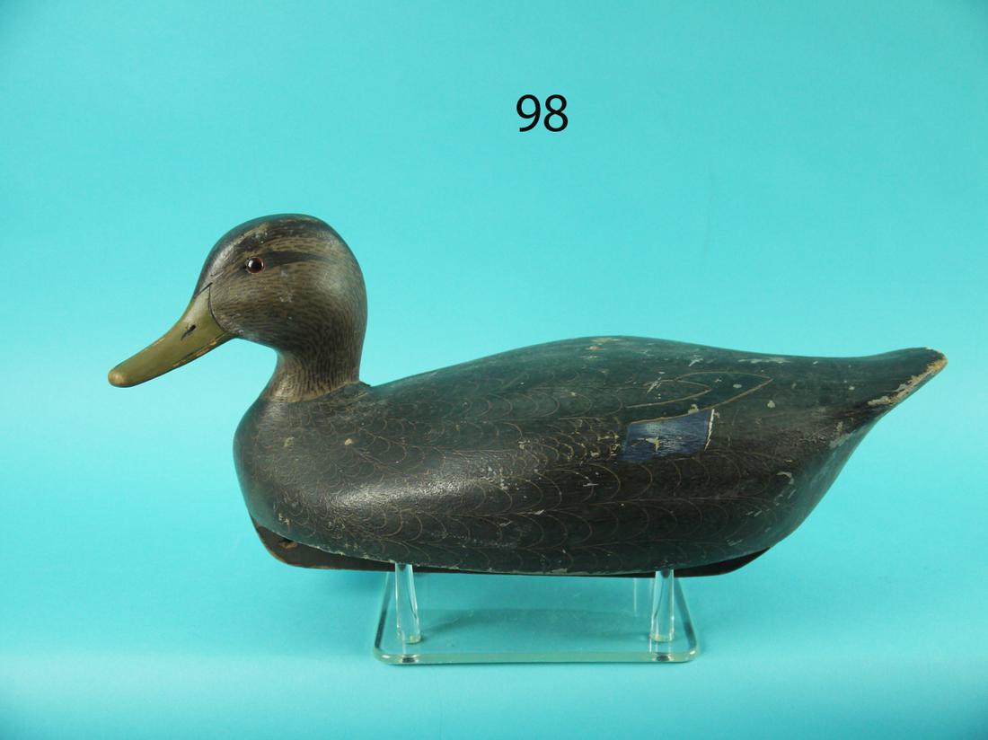 BLACK DUCK, K. HARRIS (1 of 4)