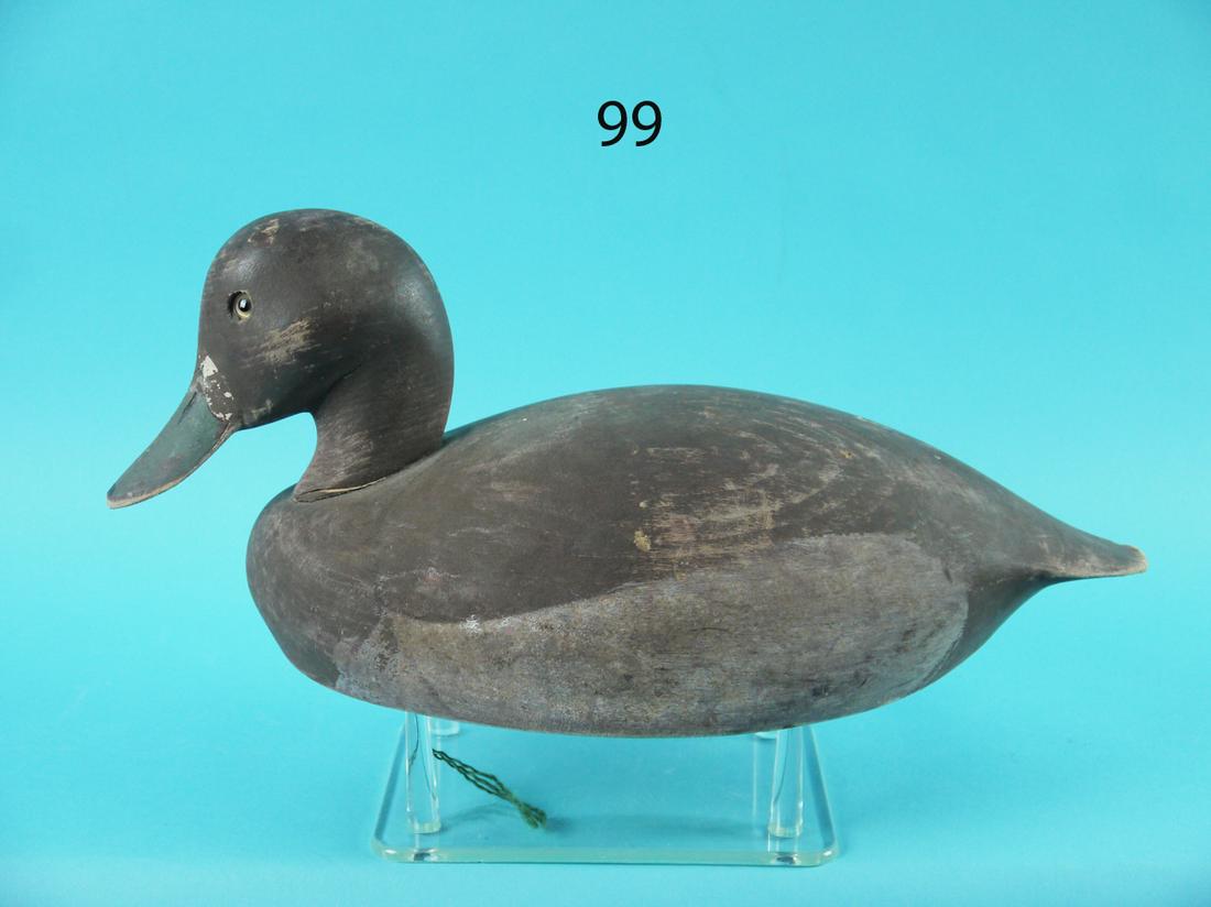 BLUEBILL DRAKE, K. HARRIS (1 of 4)