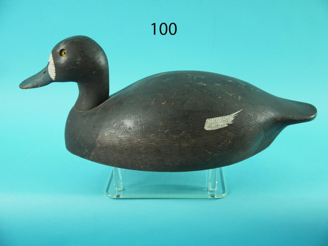 BLUEBILL HEN, K. HARRIS (1 of 4)