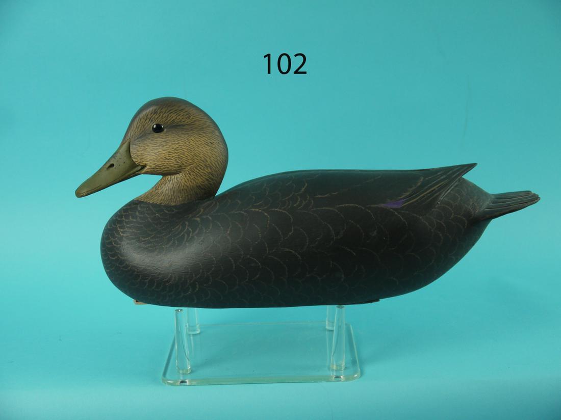 BLACK DUCK, H. MILLER (1 of 4)