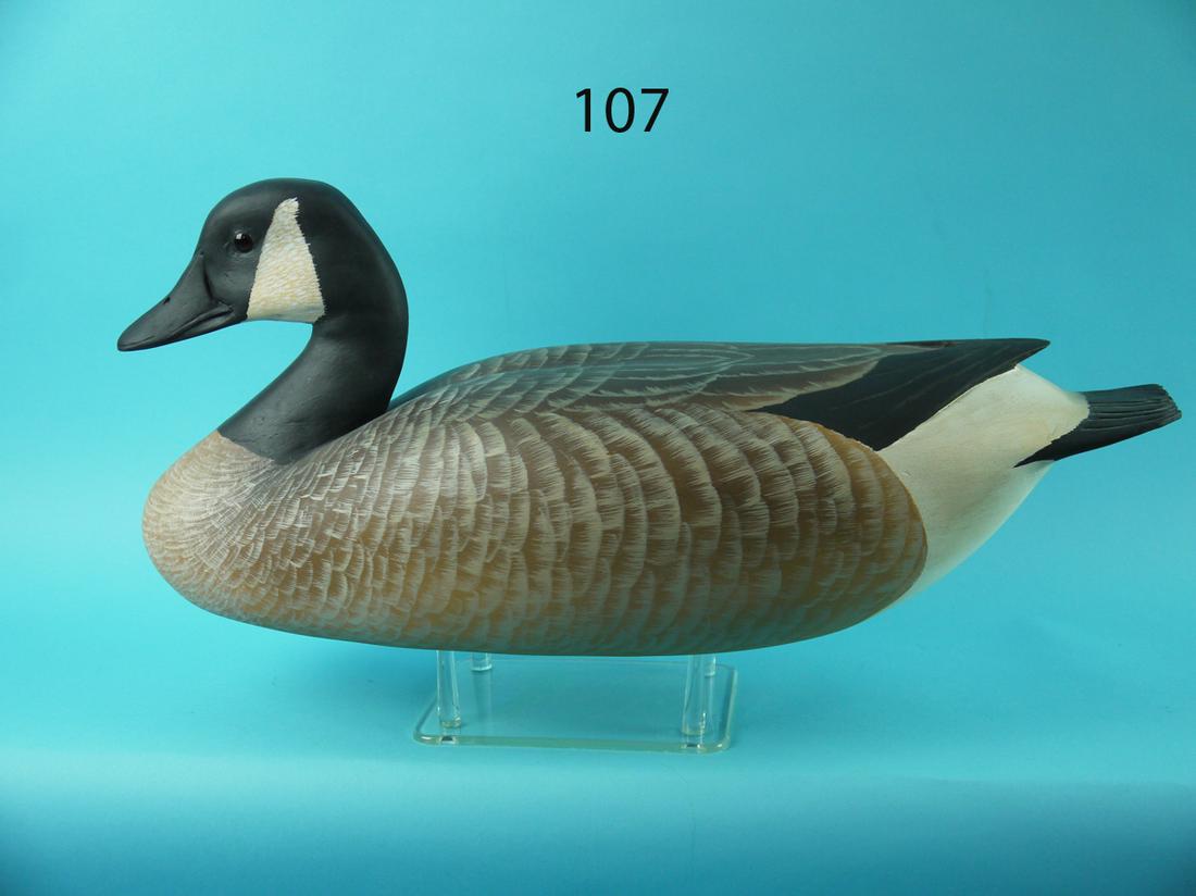 CANADA GOOSE, H. MILLER (1 of 4)