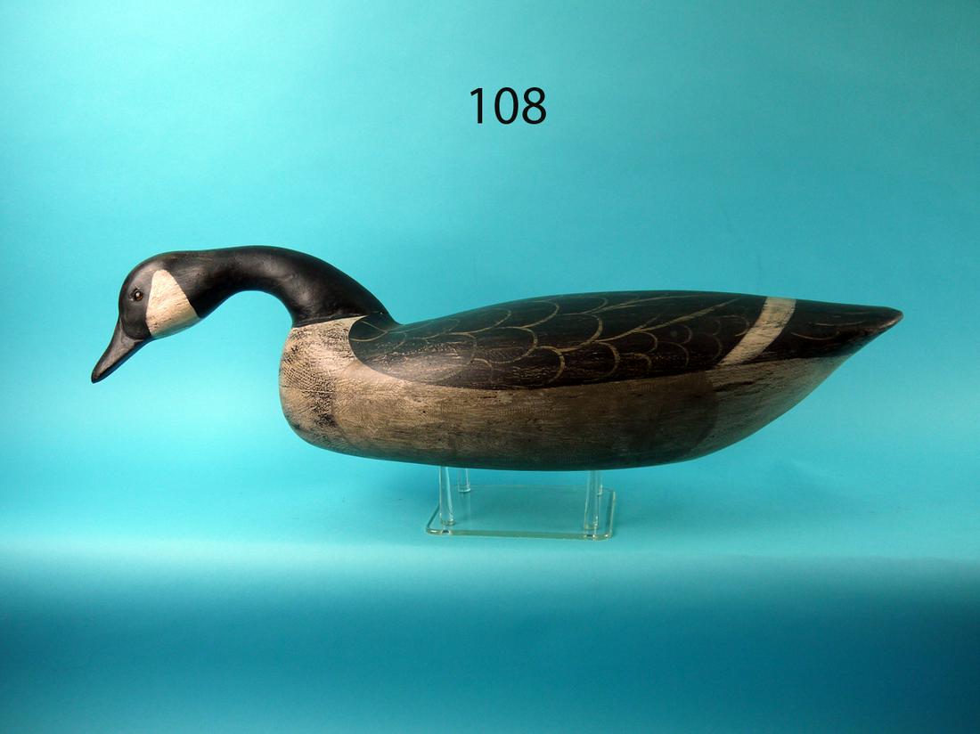 CANADA GOOSE, C. MOORE (1 of 4)