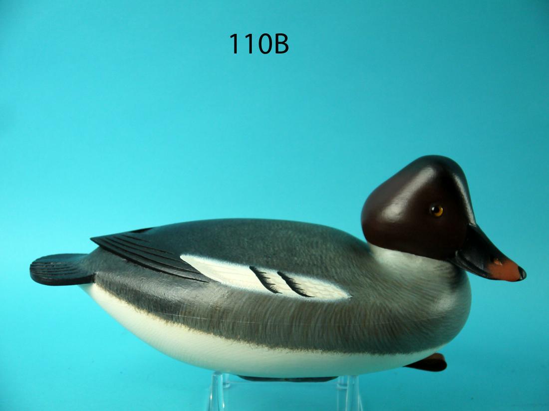 GOLDENEYE HEN, F.C. BROWN, JR. (1 of 4)