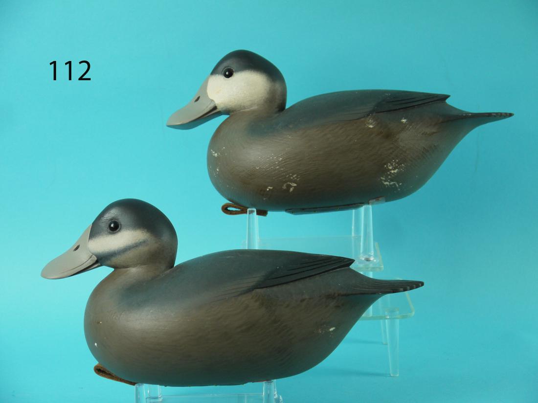 RUDDY DUCK PAIR, F.C. BROWN, JR. (1 of 4)