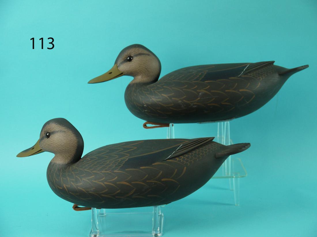 BLACK DUCK PAIR, F.C. BROWN, JR. (1 of 4)