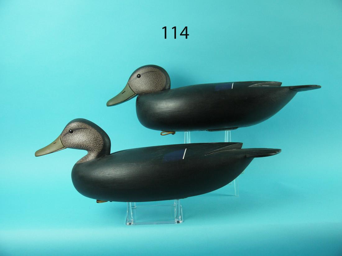 BLACK DUCK PAIR, E. CLARK (1 of 4)