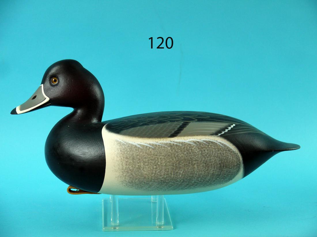 RING NECK DRAKE, F.C. BROWN, JR. (1 of 4)