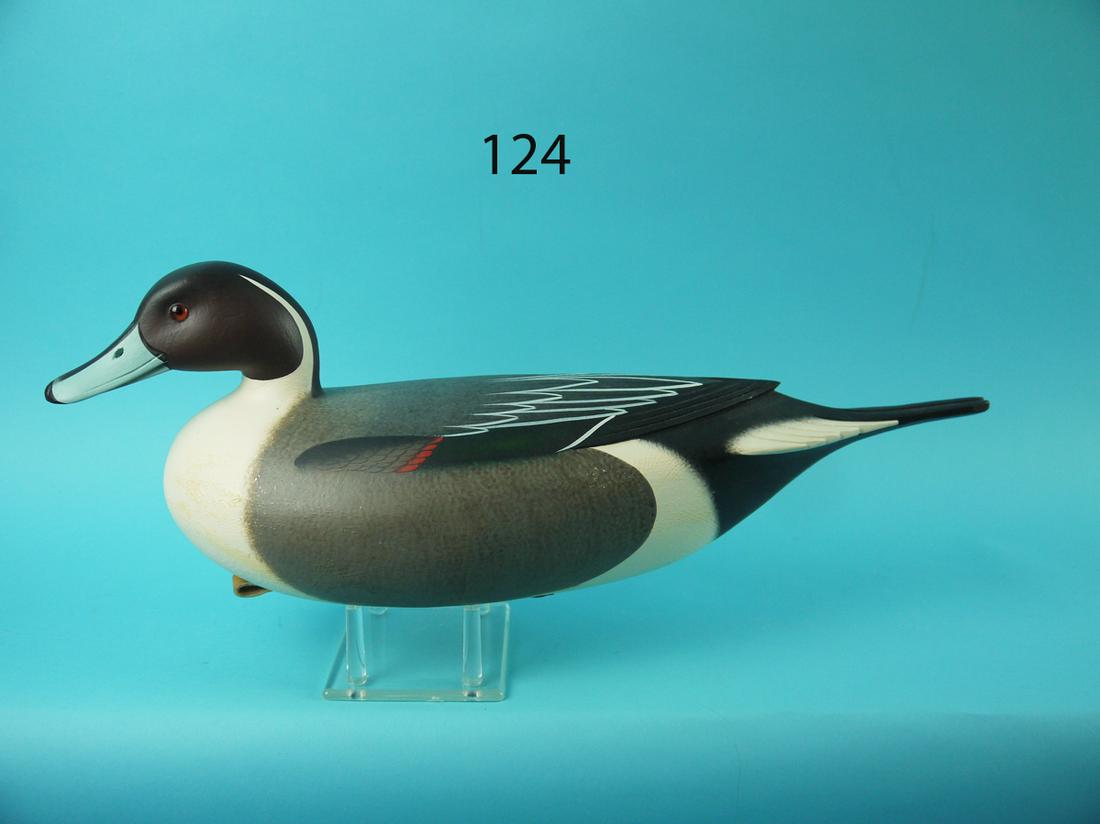 PINTAIL DRAKE, F.C. BROWN, JR. (1 of 4)