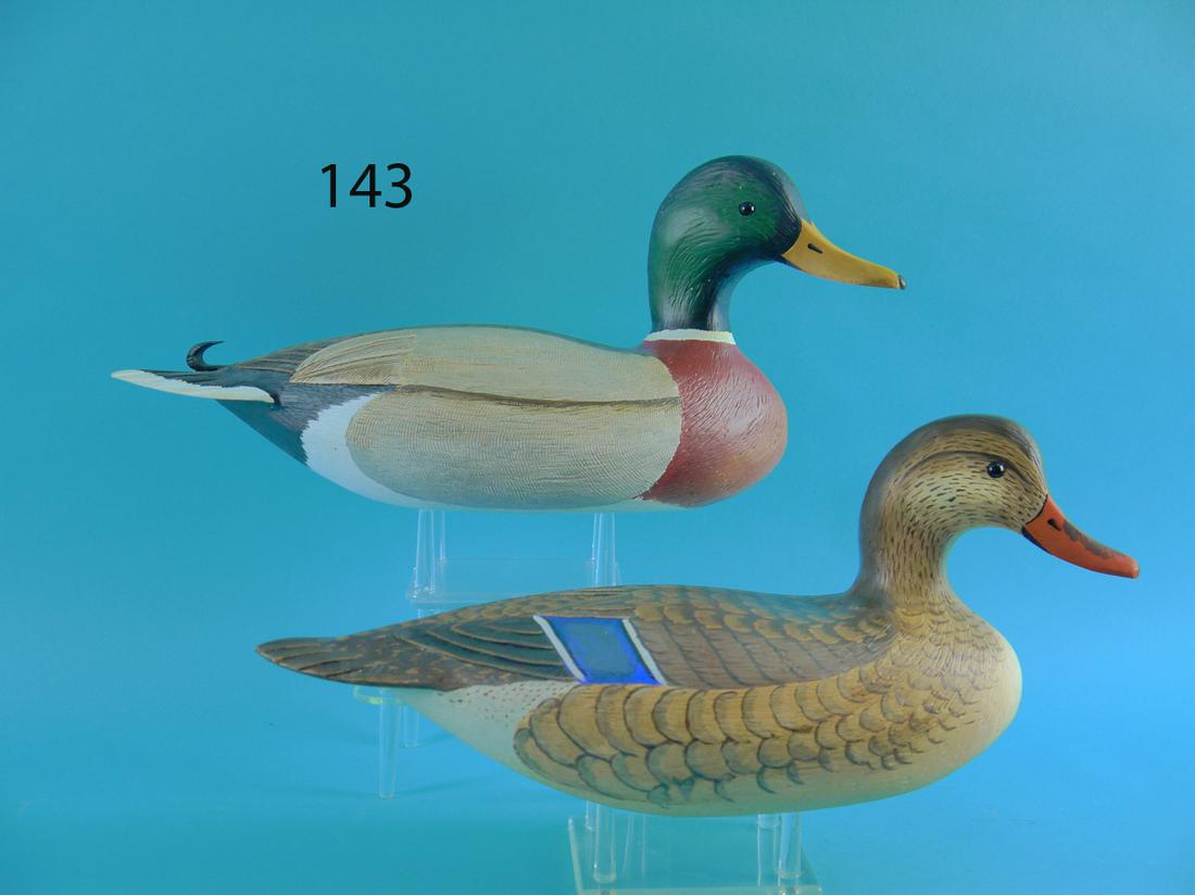 MALLARD PAIR, L. REINERI (1 of 4)