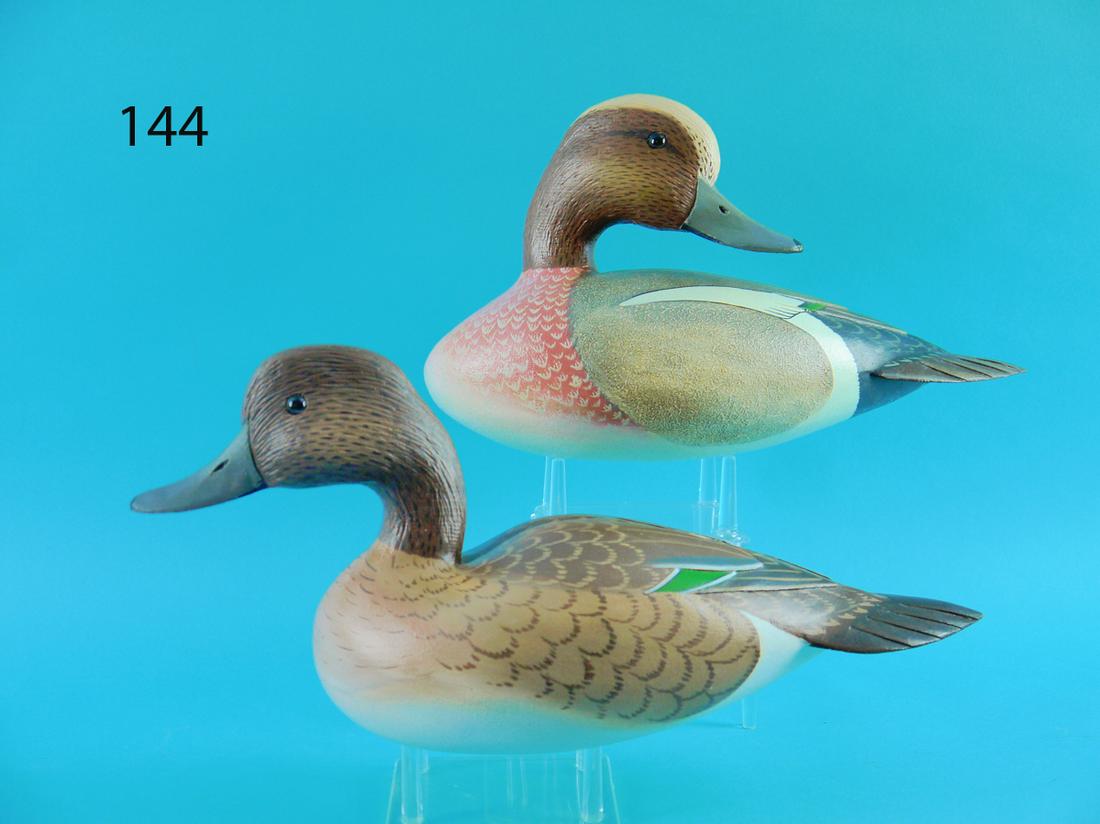 EUROPEAN WIDGEON PAIR, L. REINERI (1 of 4)