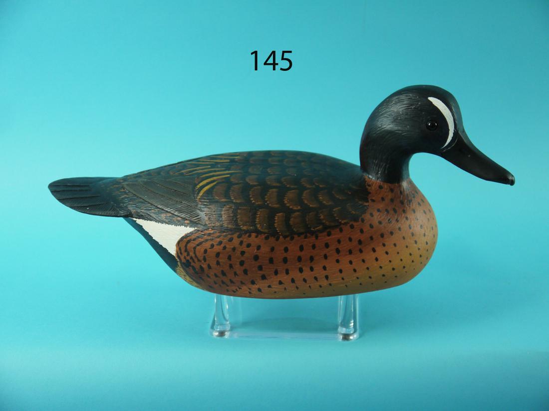BLUE WING TEAL DRAKE, L. REINERI (1 of 4)